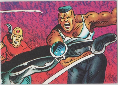 ShadowHawk Collector Card #48